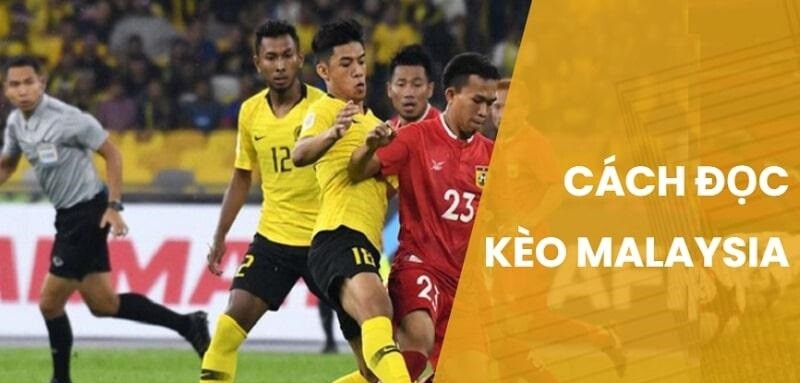 Cách đọc kèo cược Malay bóng đá đơn giản