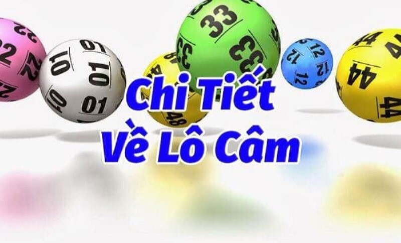 Khái niệm về lô đầu câm trong lô đề