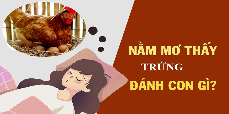 Mơ nhìn thấy trứng đánh số 13, 14 có cơ hội đổi đời