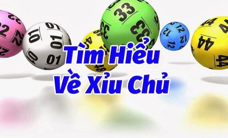 Hiện nay có rất nhiều loại xỉu chủ khác nhau